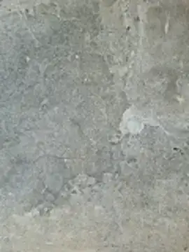 ngocngoc cute online show from 02.24.26