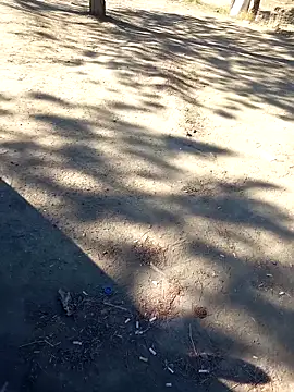 bullut06 online show from 09.23.25