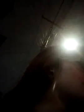  Alaskamisa online show from 11.10.25