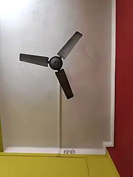 susmicpl online show from 02.03.26