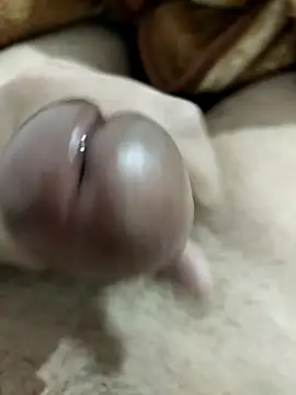 Zepe 12 online show from 01.08.26