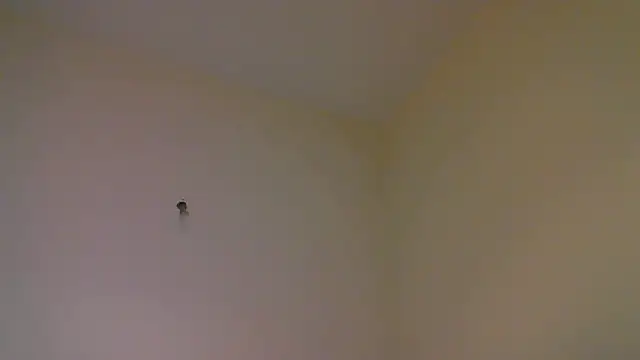 Snapshot of str8matesirishoz chatting on 10.15.25 str8matesirishoz online show from 10.15.25