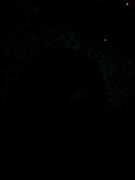 UntidyGuar online show from 11.04.25