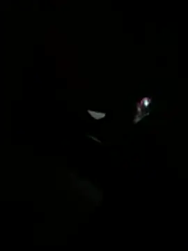 Daliz online show from 05.15.26