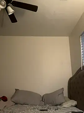 pnwzo online show from 12.19.25