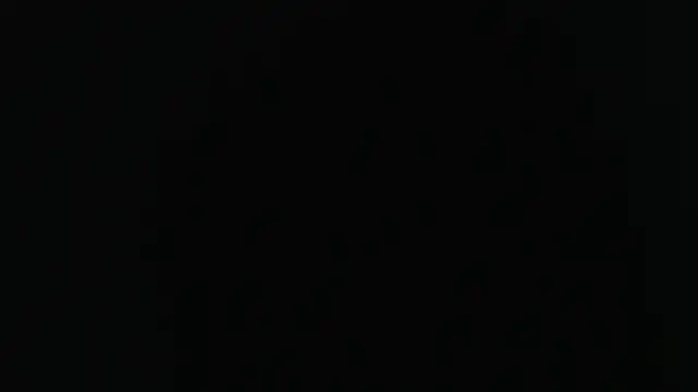 Snapshot of sensualduo chatting on 02.21.25 sensualduo online show from 02.21.25
