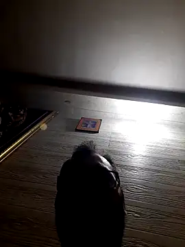 Hot-boy077 online show from 02.04.26