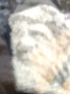 Zoe73  online show from 02.25.26