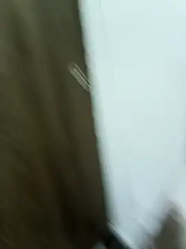 Maazikeen online show from 11.17.25