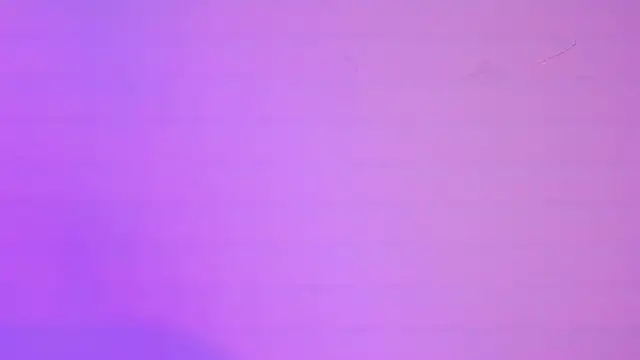 Megan Luxe online show from 02.11.26