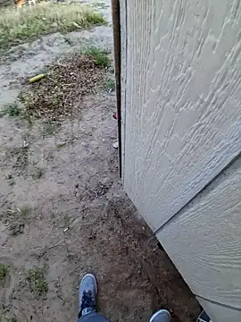 MassedParidae online show from 03.04.26