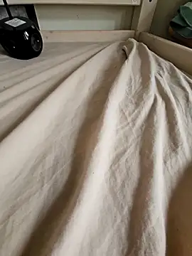 Snapshot of Stingles chatting on 10.04.25 Stingles online show from 10.04.25