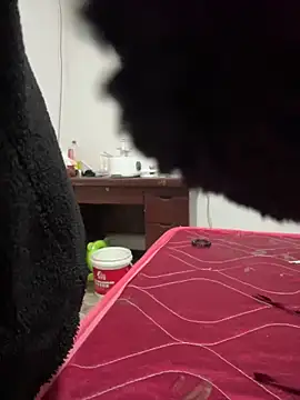 Snapshot of crhong666 chatting on 12.16.25 crhong666 online show from 12.16.25