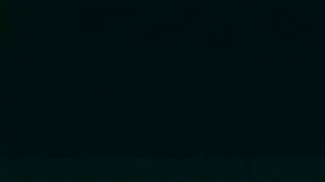 Snapshot of LeeCox chatting on 12.21.24 LeeCox online show from 12.21.24