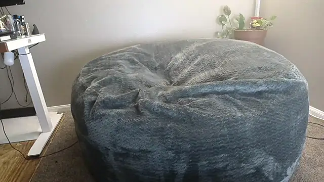 Snapshot of LeeCox chatting on 01.04.25 LeeCox online show from 01.04.25