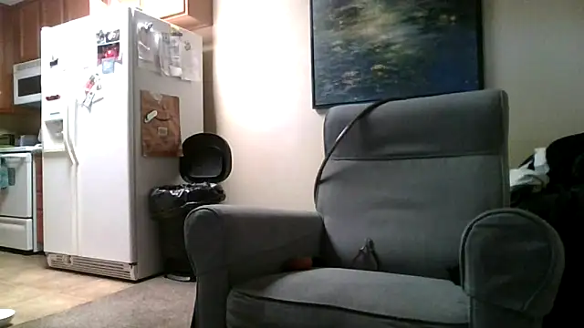 Snapshot of LeeCox chatting on 02.02.25 LeeCox online show from 02.02.25