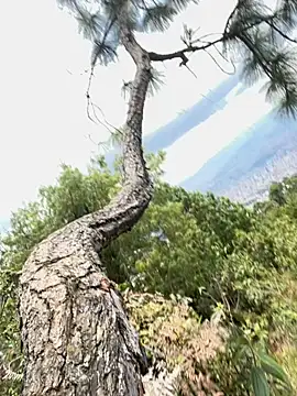 Snapshot of Alexis_Spicter chatting on 09.16.25 Alexis Spicter online show from 09.16.25