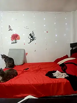 Lady 16 online show from 02.17.26