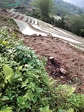 PhamPm70 online show from 04.02.26