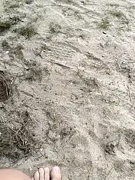 pegaso369 online show from 02.26.26