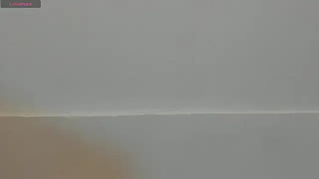 VioletRose as online show from 02.11.26