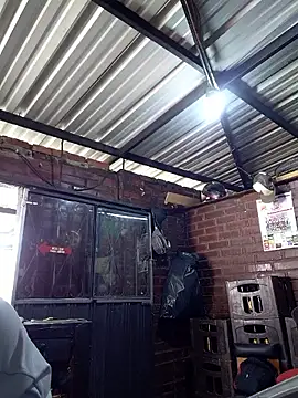 kay towers99 online show from 04.06.26