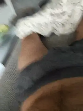 hansvonerotic1 online show from 12.02.25