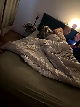 Jaropol online show from 01.12.26