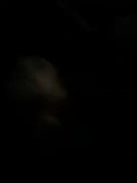 high3ndlowlife online show from 11.27.25