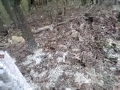 fischnet online show from 09.20.25