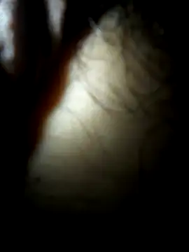 luislimafuego online show from 10.04.25