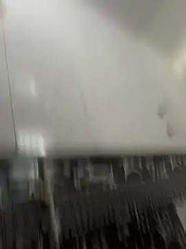 NoddingScorpion online show from 03.08.26