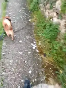 Axelitoc online show from 04.16.26