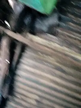 Hot-ilaiy online show from 12.22.25