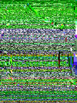 Snapshot of OrchidBae chatting on 10.08.25 OrchidBae online show from 10.08.25