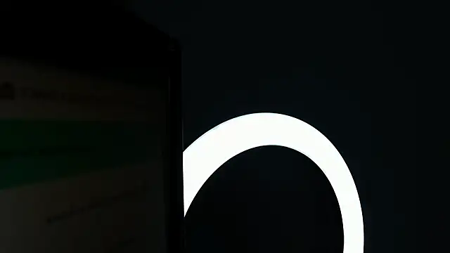 kitty collins  online show from 02.18.26