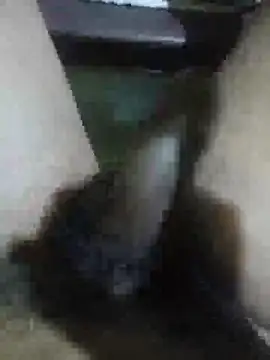 Snapshot of Vizgeboys chatting on 02.28.26 Vizgeboys online show from 02.28.26