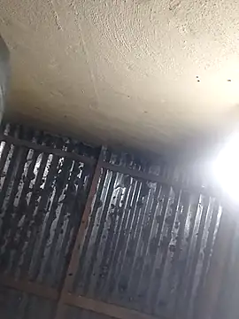 shebeshid online show from 04.13.26