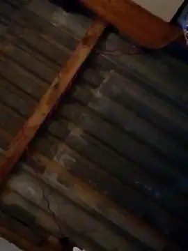 Snapshot of LUISSLEONN0958 chatting on 09.25.25 LUISSLEONN0958 online show from 09.25.25