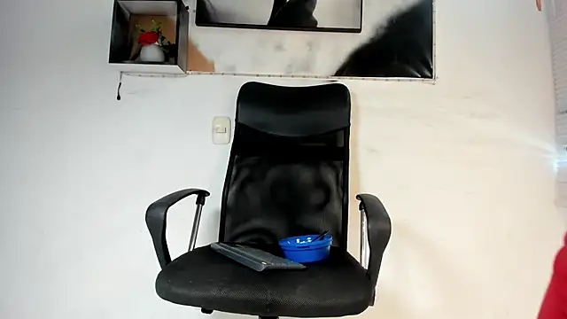 tyler twink boy online show from 12.04.25