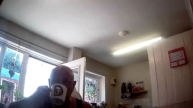 Snapshot of playfulchell chatting on 07.17.26 playfulchell online show from 07.17.26