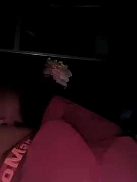 Snapshot of rajdehli chatting on 12.04.25 rajdehli online show from 12.04.25