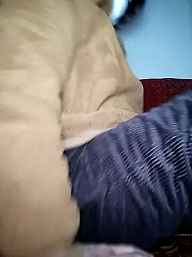 July-Asian online show from 01.06.26