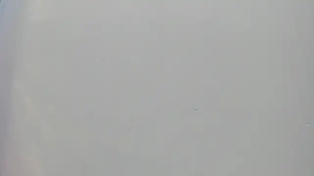 Snapshot of Saammy_17 chatting on 09.25.25 Saammy 17 online show from 09.25.25