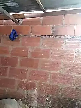 hoteder online show from 03.07.26