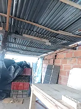 hoteder online show from 04.18.26