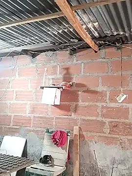 hoteder online show from 04.19.26