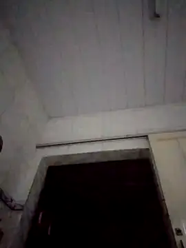 Snapshot of CadencedMimesis chatting on 10.28.25 CadencedMimesis online show from 10.28.25