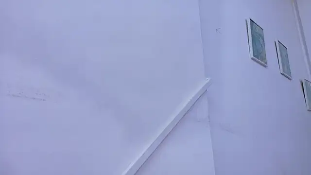 Lizbeth Rouse online show from 11.08.25