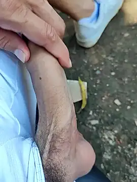 Master pigdirty online show from 09.19.25